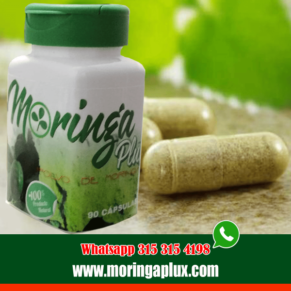 la moringa ayuda a tratar problemas de salud como la diabetes, hipertensión, colesterol, gastritis, colitis, dolores de articulaciones, migraña, problemas de circulación y anemia.